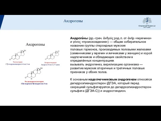 Андроге́ны (др.-греч. ἀνδρός род.п. от ἀνήρ «мужчина» и γένος «происхождение») — общее