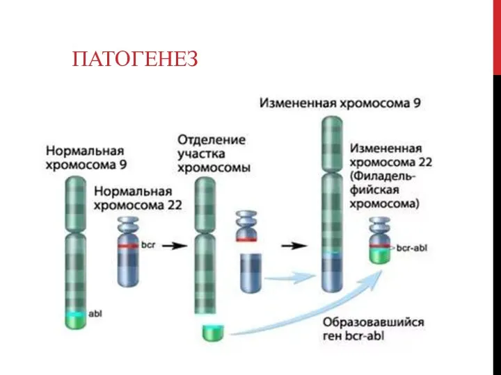 ПАТОГЕНЕЗ