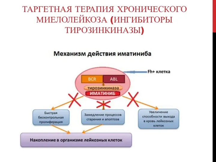 ТАРГЕТНАЯ ТЕРАПИЯ ХРОНИЧЕСКОГО МИЕЛОЛЕЙКОЗА (ИНГИБИТОРЫ ТИРОЗИНКИНАЗЫ)