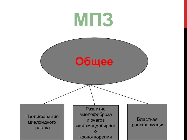 Общее Пролиферация миелоидного ростка Бластная трансформация Развитие миелофиброза и очагов экстамедуллярного кровотворения МПЗ