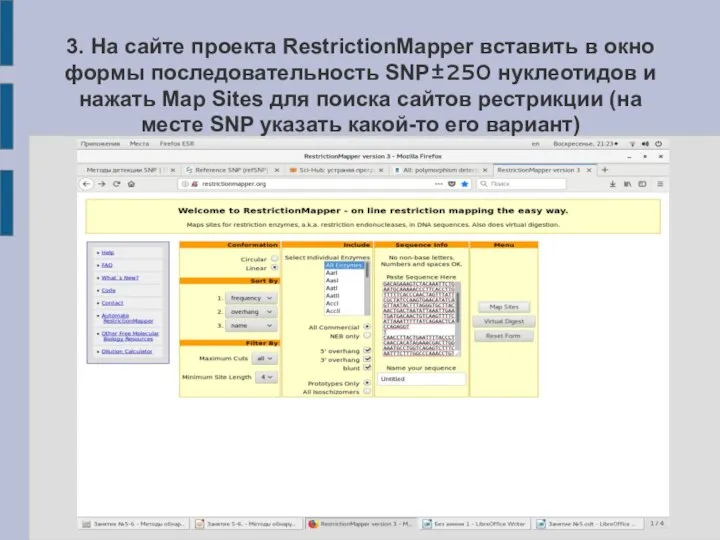 3. На сайте проекта RestrictionMapper вставить в окно формы последовательность SNP±250 нуклеотидов