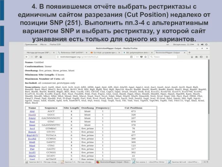 4. В появившемся отчёте выбрать рестриктазы с единичным сайтом разрезания (Cut Position)