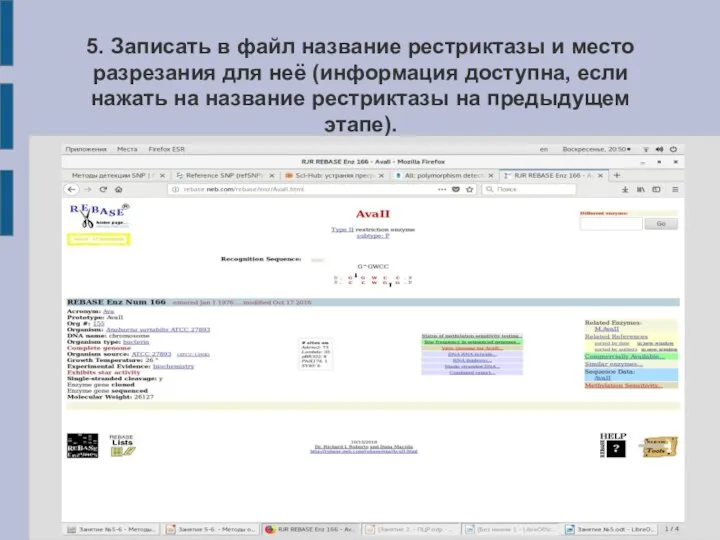 5. Записать в файл название рестриктазы и место разрезания для неё (информация