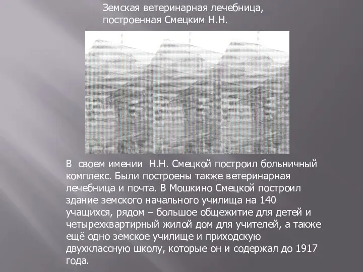 В своем имении Н.Н. Смецкой построил больничный комплекс. Были построены также ветеринарная