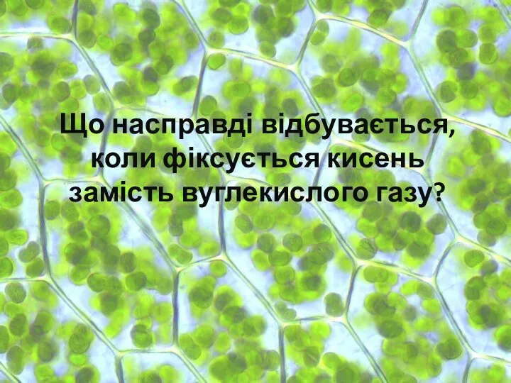 Що насправді відбувається, коли фіксується кисень замість вуглекислого газу?