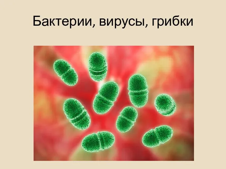 Бактерии, вирусы, грибки