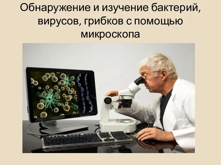 Обнаружение и изучение бактерий, вирусов, грибков с помощью микроскопа