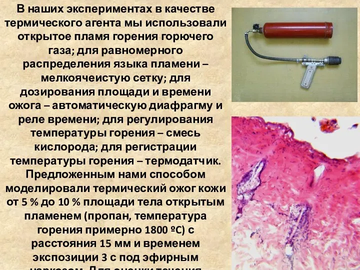 В наших экспериментах в качестве термического агента мы использовали открытое пламя горения