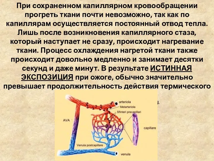 При сохраненном капиллярном кровообращении прогреть ткани почти невозможно, так как по капиллярам