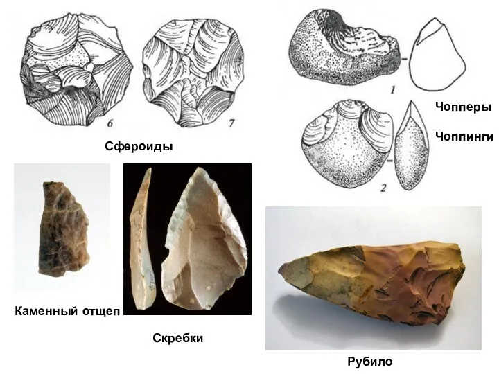 Каменный отщеп Скребки Рубило Сфероиды Чопперы Чоппинги