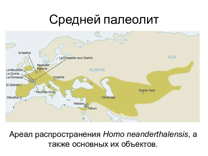 Средней палеолит Ареал распространения Homo neanderthalensis, а также основных их объектов.