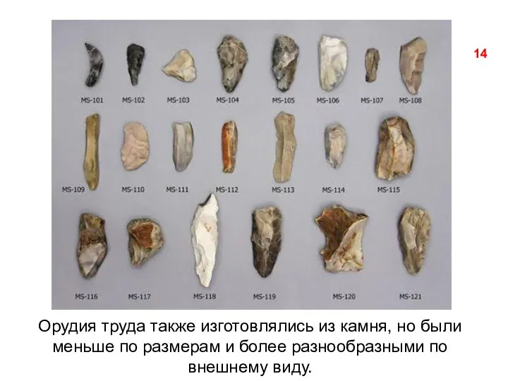 Орудия труда также изготовлялись из камня, но были меньше по размерам и