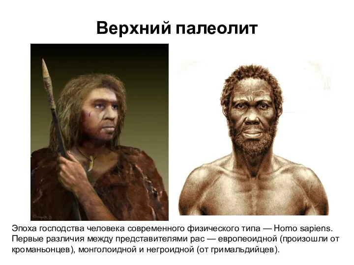 Верхний палеолит Эпоха господства человека современного физического типа — Homo sapiens. Первые