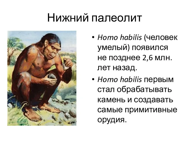 Нижний палеолит Homo habilis (человек умелый) появился не позднее 2,6 млн. лет