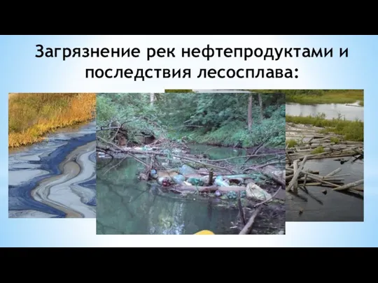 Загрязнение рек нефтепродуктами и последствия лесосплава:
