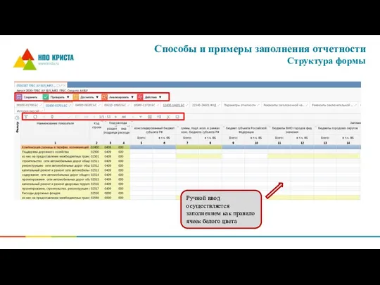 Способы и примеры заполнения отчетности Структура формы Ручной ввод осуществляется заполнением как правило ячеек белого цвета