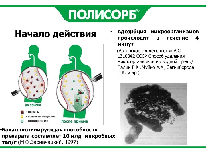 Адсорбция микроорганизмов происходит в течение 4 минут (Авторское свидетельство А.С. 1310342 СССР
