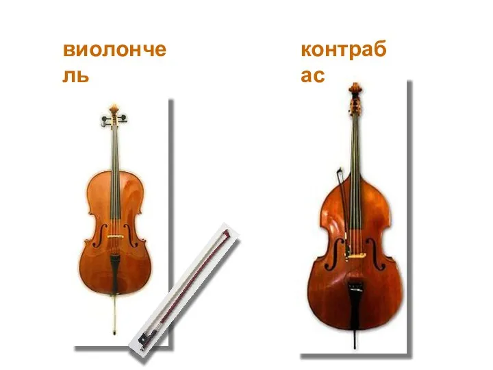 виолончель контрабас