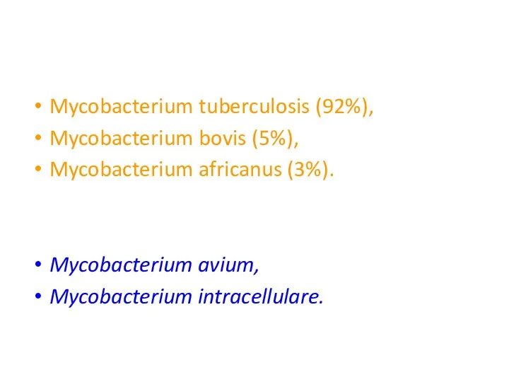 Mycobacterium tuberculosis (92%), Mycobacterium bovis (5%), Mycobacterium africanus (3%). Mycobacterium avium, Mycobacterium intracellulare.