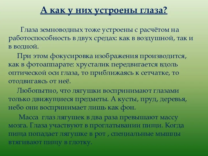 А как у них устроены глаза? Глаза земноводных тоже устроены с расчётом