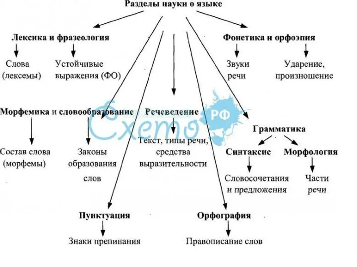 Разделы языка