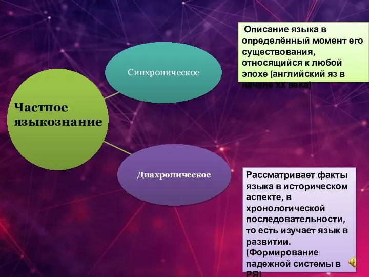 Частное языкознание Описание языка в определённый момент его существования, относящийся к любой