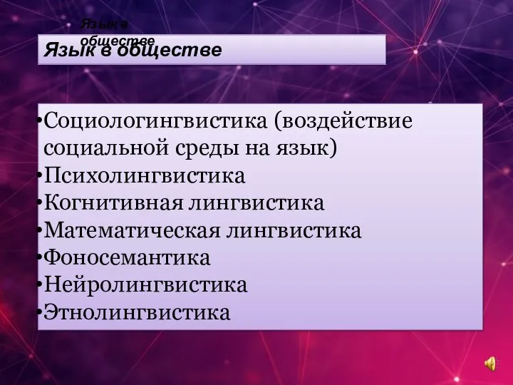 Социологингвистика (воздействие социальной среды на язык) Психолингвистика Когнитивная лингвистика Математическая лингвистика Фоносемантика