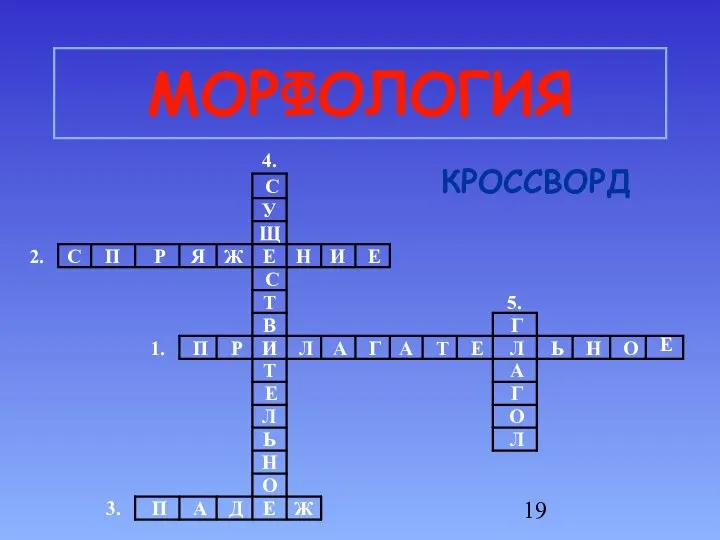 МОРФОЛОГИЯ КРОССВОРД