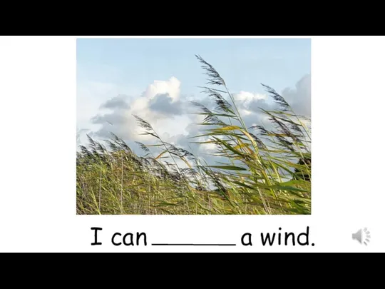 I can a wind.