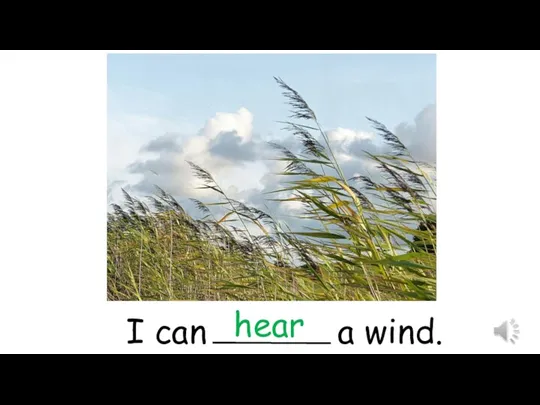 I can a wind. hear