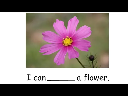 I can a flower.
