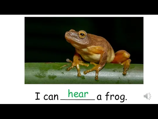 I can a frog. hear