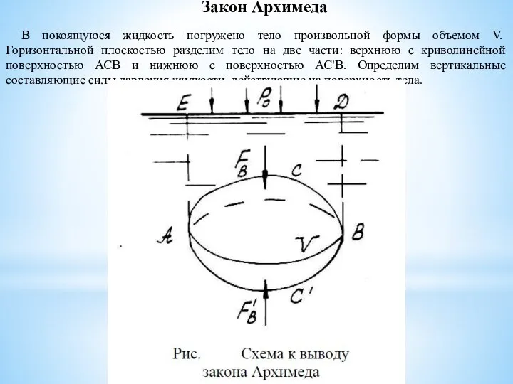 Закон Архимеда В покоящуюся жидкость погружено тело произвольной формы объемом V. Горизонтальной