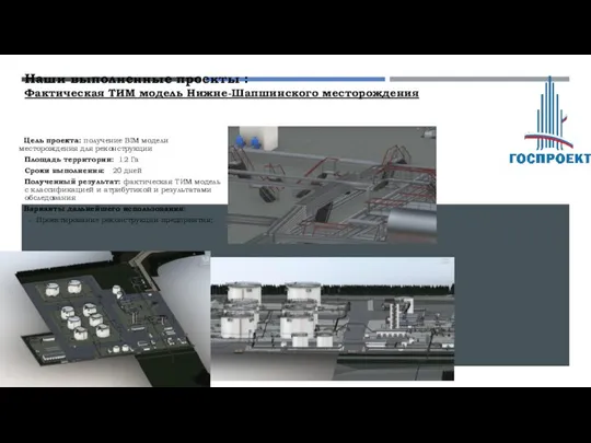 Наши выполненные проекты : Фактическая ТИМ модель Нижне-Шапшинского месторождения Цель проекта: получение
