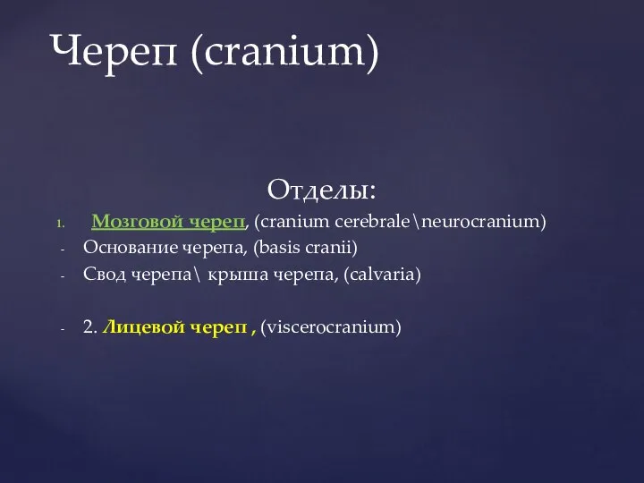 Отделы: Мозговой череп, (cranium cerebrale\neurocranium) Основание черепа, (basis cranii) Свод черепа\ крыша