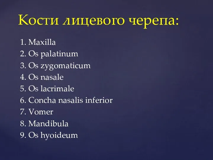 1. Maxilla 2. Os palatinum 3. Os zygomaticum 4. Os nasale 5.