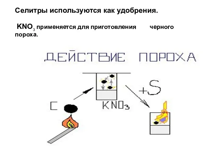 Селитры используются как удобрения. KNO3 применяется для приготовления черного пороха.