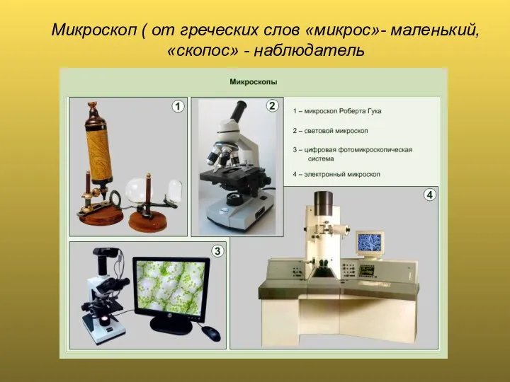 Микроскоп ( от греческих слов «микрос»- маленький, «скопос» - наблюдатель