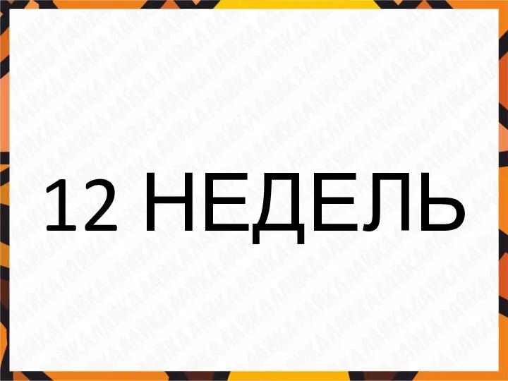 12 НЕДЕЛЬ