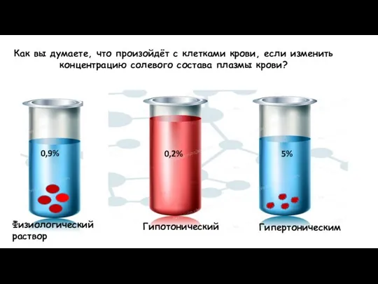 Физиологический раствор 0,2% 5% 0,9% Гипотонический Гипертоническим Как вы думаете, что произойдёт