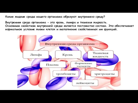 Внутренняя среда организма - это кровь, лимфа и тканевая жидкость. Основным свойством