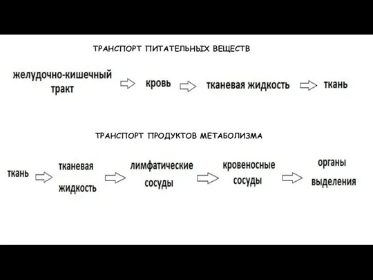 ТРАНСПОРТ ПИТАТЕЛЬНЫХ ВЕЩЕСТВ ТРАНСПОРТ ПРОДУКТОВ МЕТАБОЛИЗМА