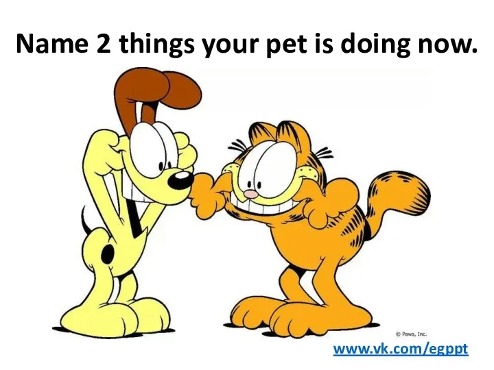 Name 2 things your pet is doing now. www.vk.com/egppt