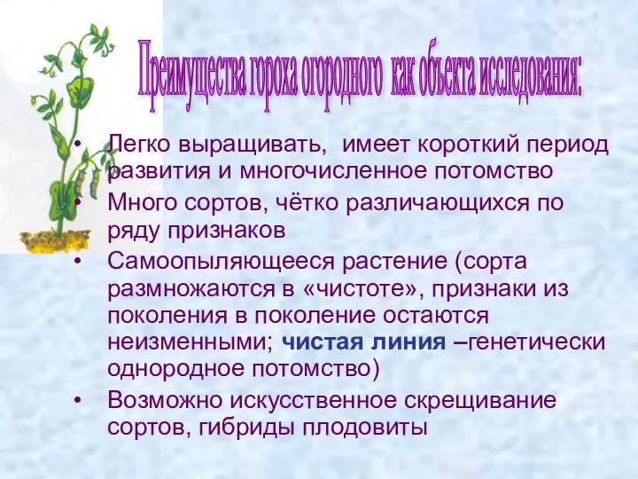 Легко выращивать, имеет короткий период развития и многочисленное потомство Много сортов, чётко