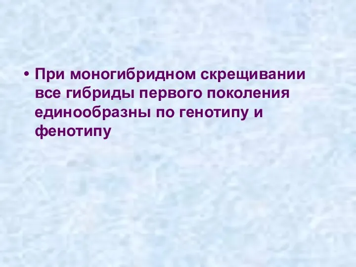 При моногибридном скрещивании все гибриды первого поколения единообразны по генотипу и фенотипу