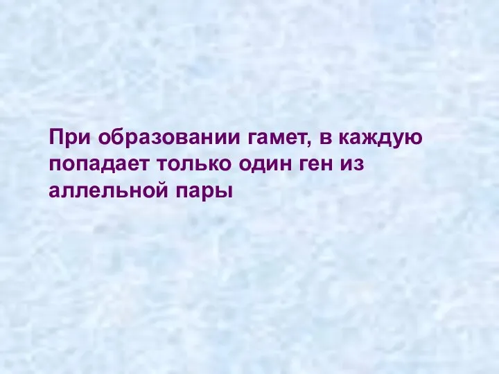 При образовании гамет, в каждую попадает только один ген из аллельной пары