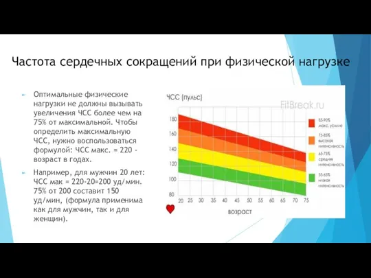 Частота сердечных сокращений при физической нагрузке Оптимальные физические нагрузки не должны вызывать