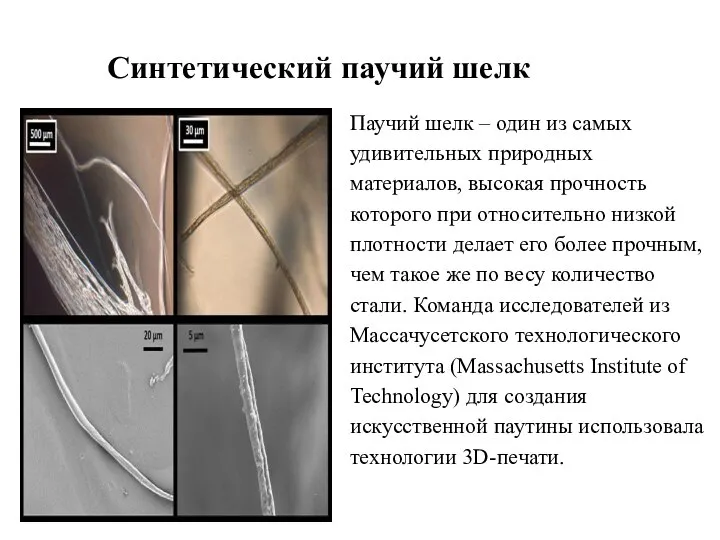 Синтетический паучий шелк Паучий шелк – один из самых удивительных природных материалов,