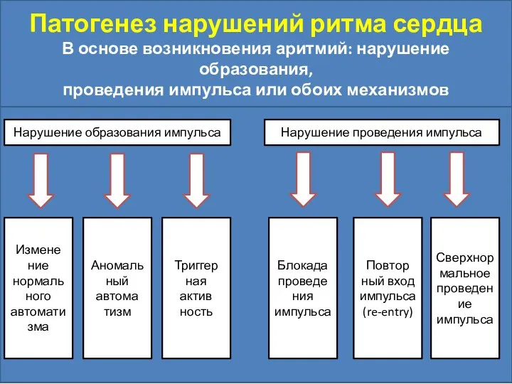 Патогенез нарушений ритма сердца В основе возникновения аритмий: нарушение образования, проведения импульса