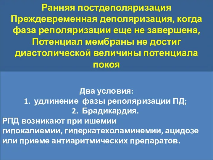 Ранняя постдеполяризация Преждевременная деполяризация, когда фаза реполяризации еще не завершена, Потенциал мембраны